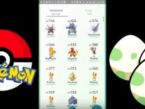 Pokemon Go News And Update: How The Mass Transfer Button Ease Your Pokemon Transfer Activity