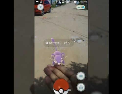 Pokemon Go News: Pidgey Rattata, And Zubat Spawn Slots To Be Replaced By Other Pokemon
