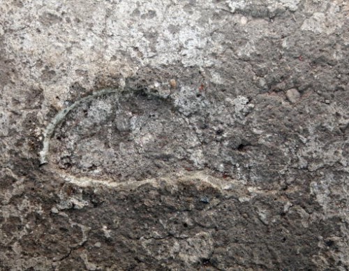 Discovery Of 3.6-Million-Year-Old Footprint Led To The Revelation Of Our Ancestors’ Sex Lives