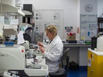 Research Into Cancer Conducted At The Cancer Research UK Cambridge Institute