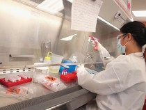 National Primate Research Centers Study Zika Virus