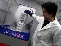 Scientists Continue Stem Cell Research While Courts Debate Ban