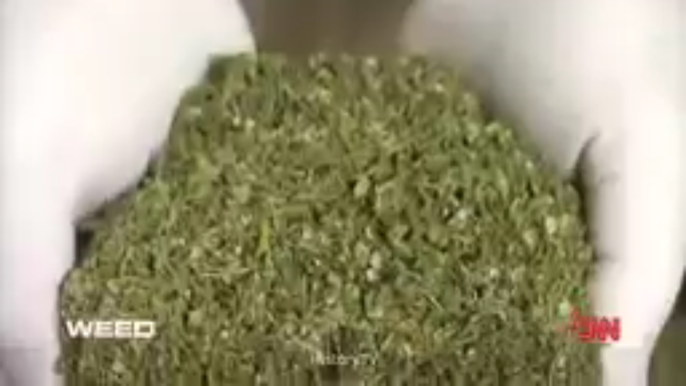 Weed - The Truth About Marijuana - Cannabis Documentary - HistoryTV