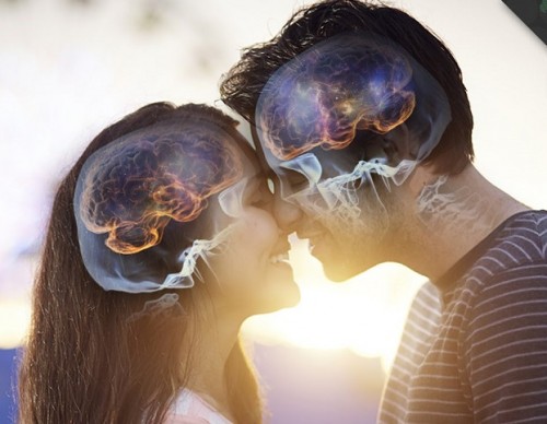 Can Science Prove You're In Love?