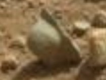 Mars Mysteries: Helmet And Gun Found In Mars Photos?