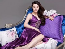 China's Richest Celebrity, Fan Bingbing Biography