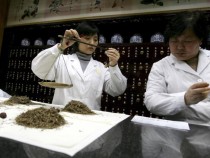 Local Patients Are Received Chinese Traditional Medicines In Beijing