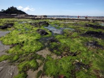 Cornish Seaside Resorts Prepare For The Summer Holiday Season