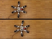 Six-Legged Robot Runs Faster Than Natural Ones