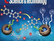 Cover of ES&T (IMAGE)