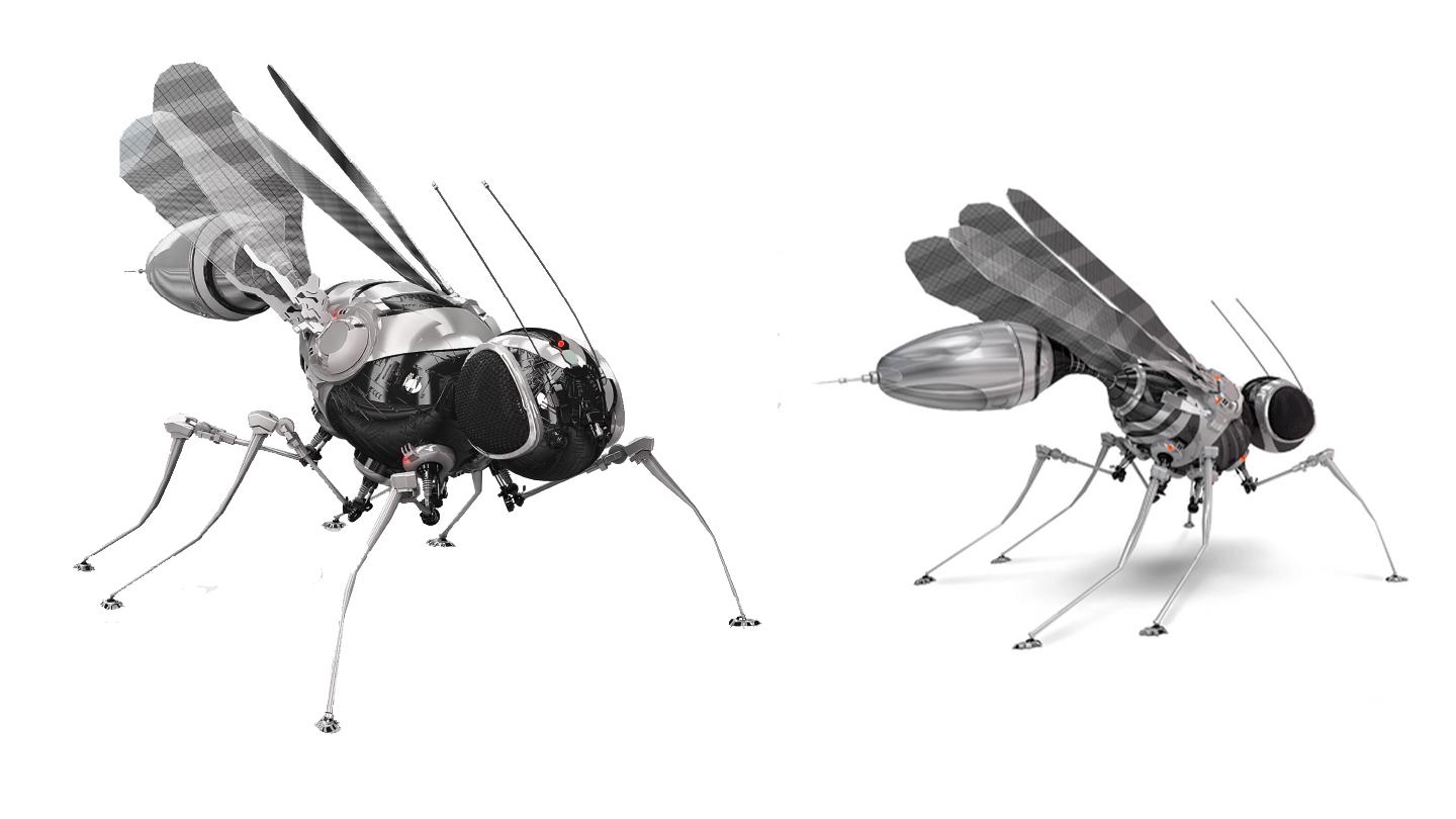 CONCEPT DESIGN OF FLY-ROBOTS