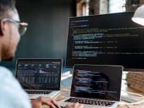 Four Good Reasons to Become a Software Developer