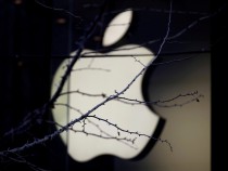 FILE PHOTO: An Apple company logo is seen behind tree branches outside an Apple store in Beijing