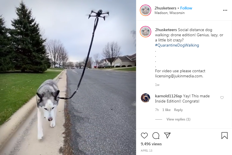 [Instagram Video] Cute Husky Seen Being Walked by Drone: Could This Be the New Norm for Doggo Walking?