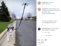[Instagram Video] Cute Husky Seen Being Walked by Drone: Could This Be the New Norm for Doggo Walking?