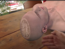 Human Dissection in Virtual Reality