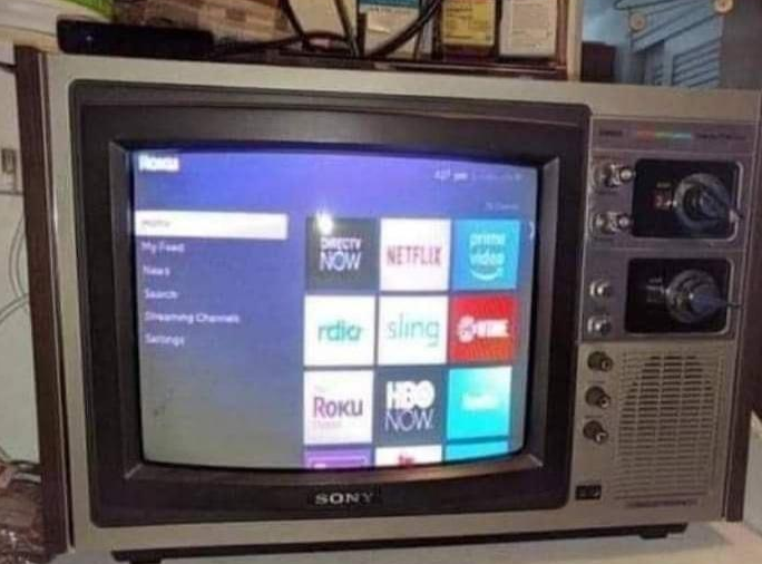 [Reddit Post] Netflix on an Old School Box-Type TV? Post Allegedly Claims It was Grandma's Doing: Comments Suggest Interesting Roku Methods