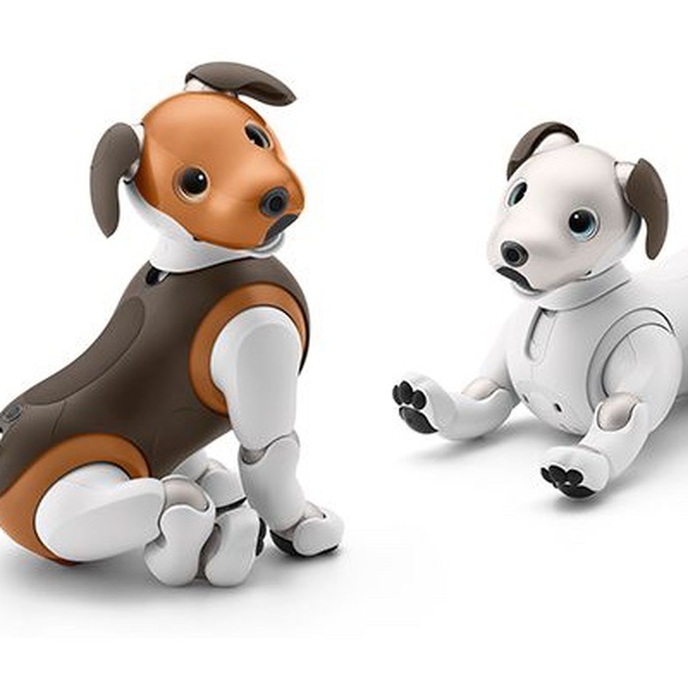 cane robot aibo