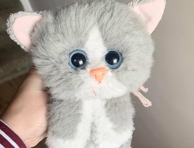 Kitty Kitty Kitten Toy (after restoration)