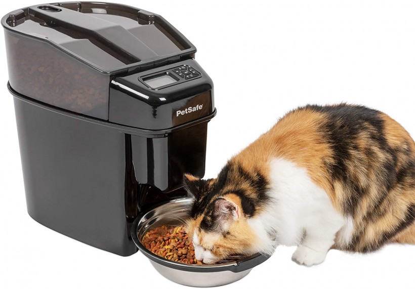  PetSafe Healthy Pet Simply Feed Automatic Cat and Dog Feeder with Stainless Steel Bowl, Holds Dry Cat and Dog Food