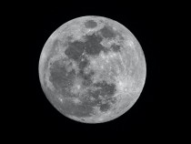 Cosmic Radiation on the Moon: How Dangerous is it?