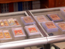 A bunch of Charizard Pokemon Cards