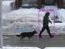 Awesome AI-Powered Machine Automatically Shouts Compliments to Dogs Passing By [VIDEO]