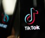 TikTok ‘Intel’ Planned to be Declassified Ahead of TikTok Ban Bill Hearing