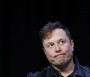 Elon Musk Called Out for Recruiting Attempts for xAI